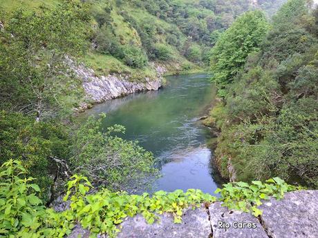 Puente la Vidre-Braña Caraspión-Cuetu las Vacas-Cuetu Legua