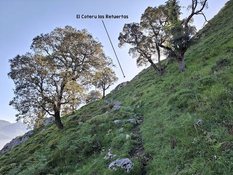 Puente la Vidre-Braña Caraspión-Cuetu las Vacas-Cuetu Legua