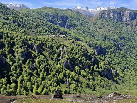 Puente la Vidre-Braña Caraspión-Cuetu las Vacas-Cuetu Legua