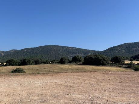 Tarancón inaugura su nuevo Parque de la Música tras las instalaciones impulsadas en los Presupuestos Participativos Tarancón inaugura su nuevo Parque de la Música tras las instalaciones impulsadas en los Presupuestos Participativos