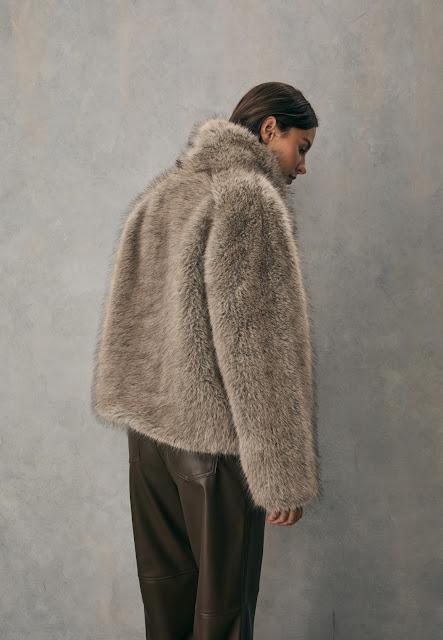 COMPRAS DE LA SEMANA; NOVIEMBRE (IV).-