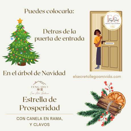 ⭐️ESTRELLA DE PROSPERIDAD⭐️🌿