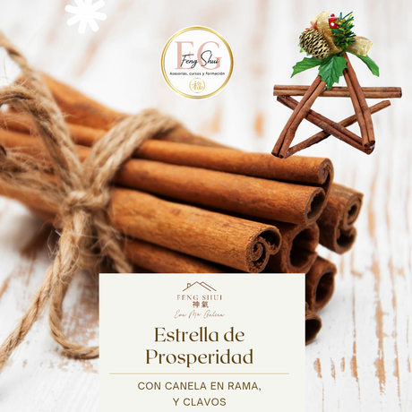 ⭐️ESTRELLA DE PROSPERIDAD⭐️🌿