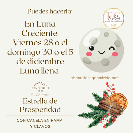 ⭐️ESTRELLA DE PROSPERIDAD⭐️🌿
