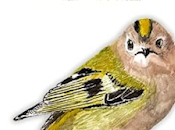 ilustrado Libro Interactivo Aves.