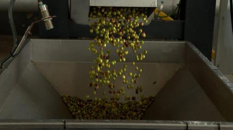 Siete cooperativas de C-LM se unen a la Marca Producto Cooperativo para diferenciar sus productos en calidad y precio