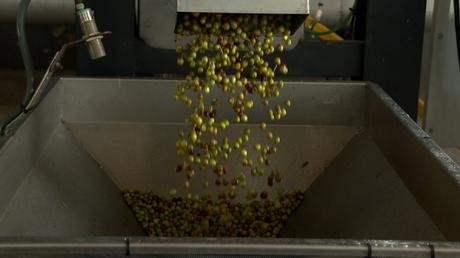 Siete cooperativas de C-LM se unen a la Marca Producto Cooperativo para diferenciar sus productos en calidad y precio