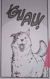 Vinland Saga (Tomos XV-XXIII), de Makoto Yukimura