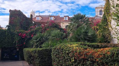 CERDEÑA : EL LEGADO CULTURAL DESCONOCIDO DE SASSARI