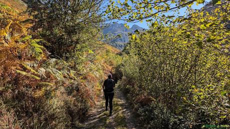El CAMPIGÜEÑOS desde ORLÉ, Caso Sendero hacia Conforcos, Caso
