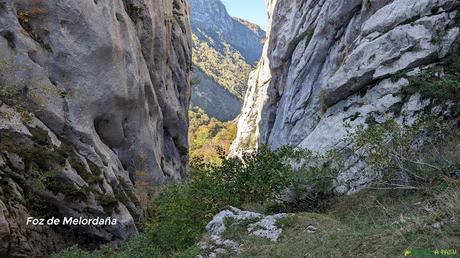 El CAMPIGÜEÑOS desde ORLÉ, Caso Foz de Melordaña, Caso