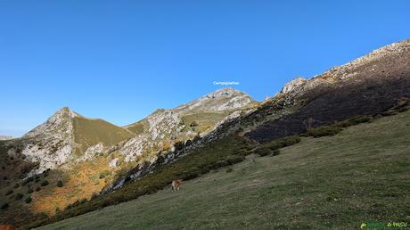 El CAMPIGÜEÑOS desde ORLÉ, Caso Vista del Pico Campigüeños