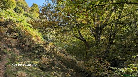 El CAMPIGÜEÑOS desde ORLÉ, Caso Entrando en Valluseru