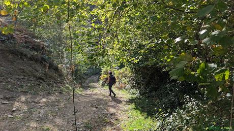 El CAMPIGÜEÑOS desde ORLÉ, Caso Cruce en Conforcos con el camino de subida y bajada