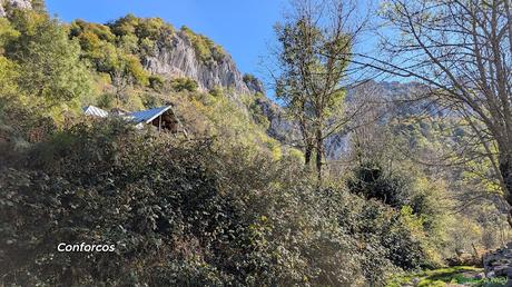 El CAMPIGÜEÑOS desde ORLÉ, Caso Conforcos, Caso