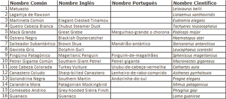 Reserva Natural Punta Tombo