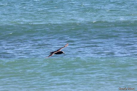 Reserva Natural Punta Tombo