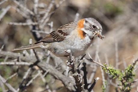 Reserva Natural Punta Tombo