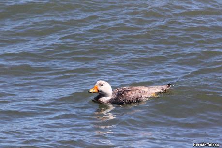 Reserva Natural Punta Tombo
