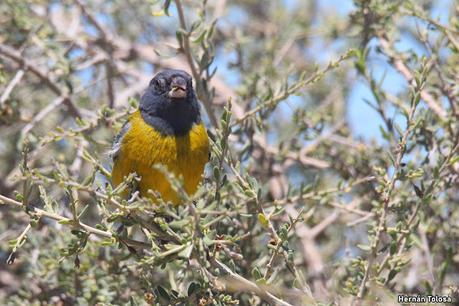 Reserva Natural Punta Tombo