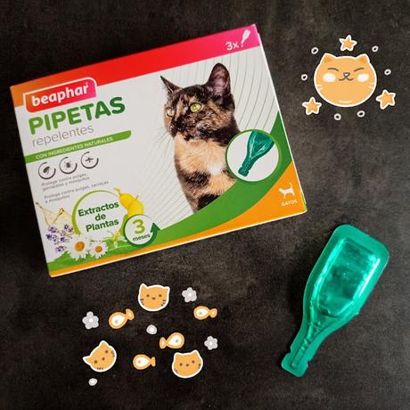 Protección para tu gato con las pipetas repelentes naturales