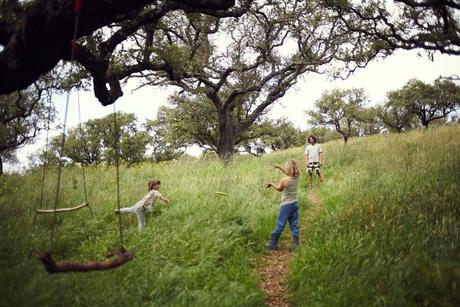 Traditional Dream Factory supera los 1,2 millones de euros y lidera la economía regenerativa en Europa