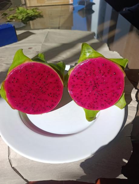 ULTIMAS PITAHAYAS DEL AÑO