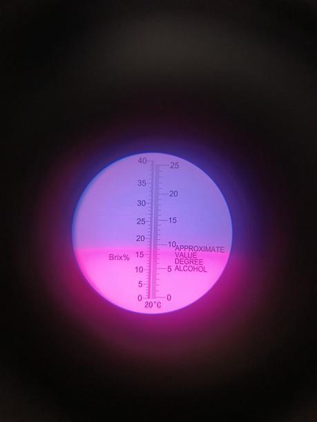 ULTIMAS PITAHAYAS DEL AÑO