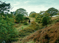 Critica: El Bastardo