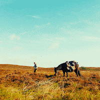 Critica: El Bastardo