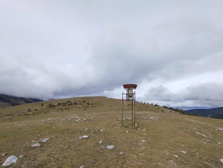 Ruta al Cap del Ginebrar y Pla d’Anyella desde La Molina: senderismo entre prados y rebecos | La Cerdanya