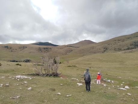 Ruta al Cap del Ginebrar y Pla d’Anyella desde La Molina: senderismo entre prados y rebecos | La Cerdanya