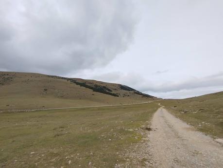 Ruta al Cap del Ginebrar y Pla d’Anyella desde La Molina: senderismo entre prados y rebecos | La Cerdanya