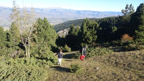 Ruta al Serrat de les Pedrusques desde Coma Oriola | La Cerdanya