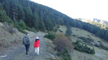 Ruta al Serrat de les Pedrusques desde Coma Oriola | La Cerdanya
