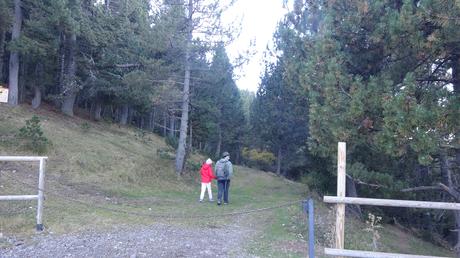 Ruta al Serrat de les Pedrusques desde Coma Oriola | La Cerdanya
