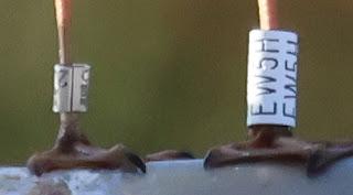 Gaviota Reidora EW5H en el Parc Diagonal Mar