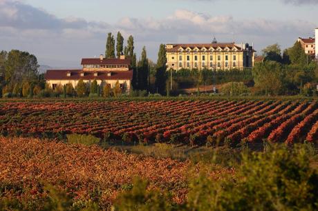 Navidad 2025; rutas y planes irresistibles por toda España Navidad 2025; rutas y planes irresistibles por toda España