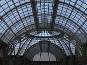 HUAWEI anuncia ganadores XMAGE Awards 2025 Paris Photo