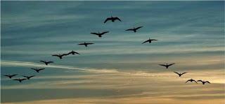 LA VITAL INTEGRACIÓN POLÍTICA DE LA UNIÓN EUROPEA LA VITAL INTEGRACIÓN POLÍTICA DE LA UNIÓN EUROPEA