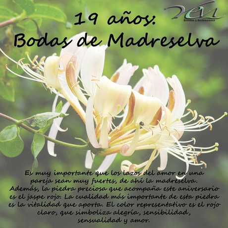 Tiempo de existencia de Universo de A: 19 años