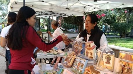 Impulsan emprendimiento femenino con mercado local en Villa de Pozos