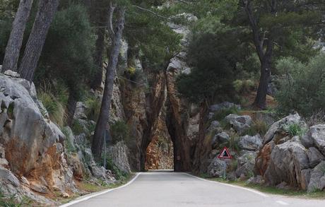 Mallorca, la isla que es un paraíso ciclista
