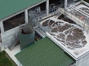 DEPURTECH impulsa innovación tratamiento aguas industriales purines soluciones integrales sostenibles