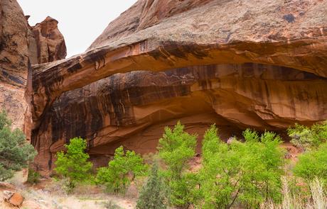 Puente natural Morning Glory