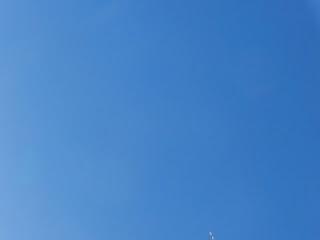 Comienza la migración en serio