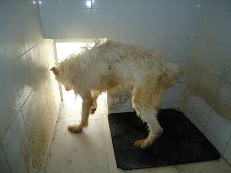 Campero solo tiene hast ael 22 Marzo