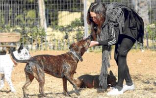 La dueña de un perro retira de la boca de su mascota una rama de la cubierta vegetal. 