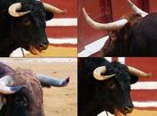 Pérdida confianza Autoridad