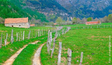 Límites, ¿represión o protección?